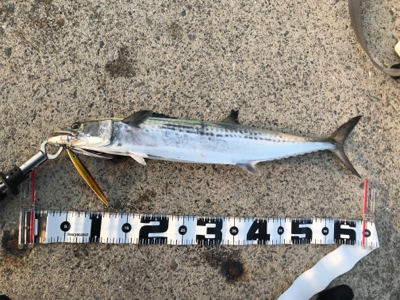 嗚呼、ポーアイ沖堤防