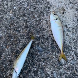 フロートアジンガー