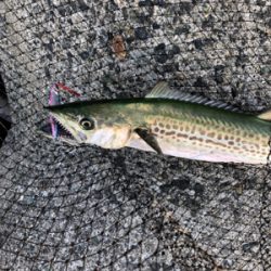 時合い終了後の一本^_^♪