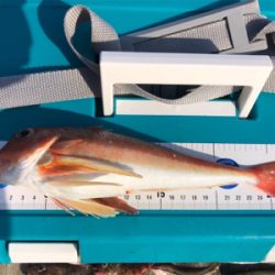 久しぶりの筏で満足