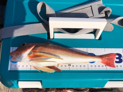 久しぶりの筏で満足