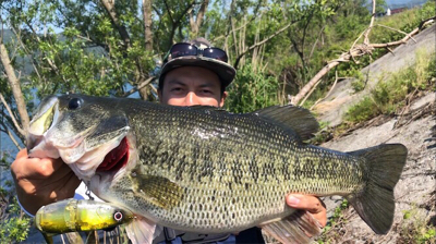 つりぴぃぽぉ釣果