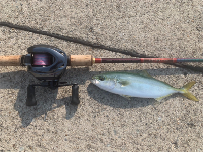 通りすがりラッキー♫