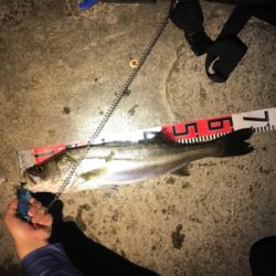 粘って取った価値ある二本。