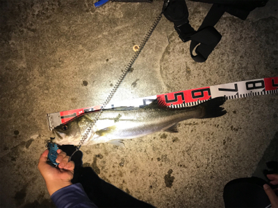 粘って取った価値ある二本。