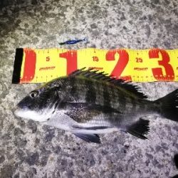 大雨の後の大荒れの中メバリング～