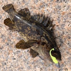 デイサーフ&デイシャローメバリング