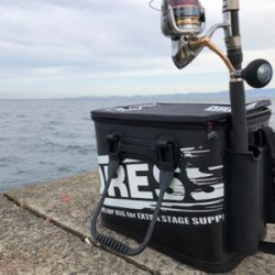 なんだ、居てたのね