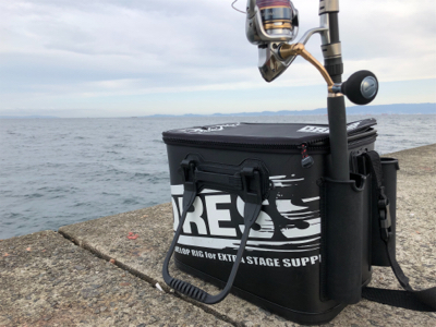 なんだ、居てたのね