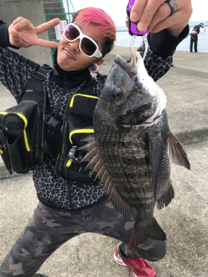 初尼P人生3から5枚目のクロダイ釣れました…