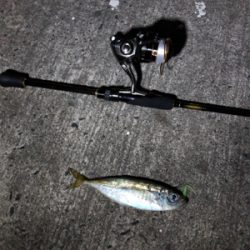 久しぶりの投稿です