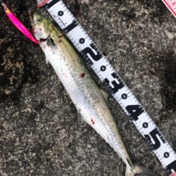 今、武庫一が熱い❗️