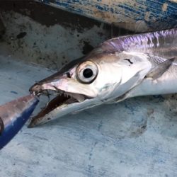 スーパーULジギング