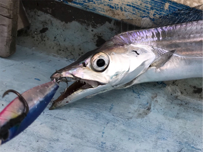 スーパーULジギング