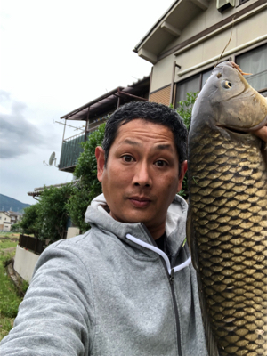 いつも見ていた鯉が気になって！