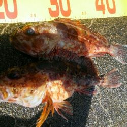 波強し、うねりあり