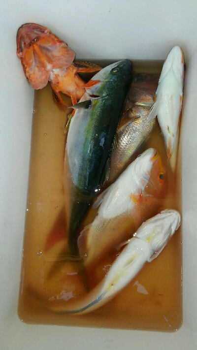 感度はあるけど