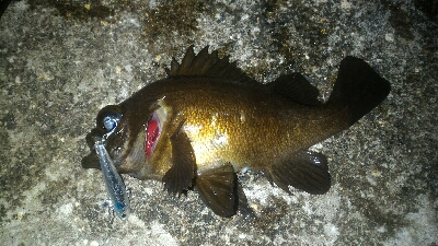 まだまだ開幕せず