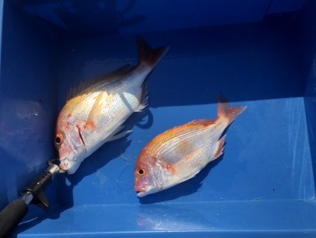 絶好の釣り日和