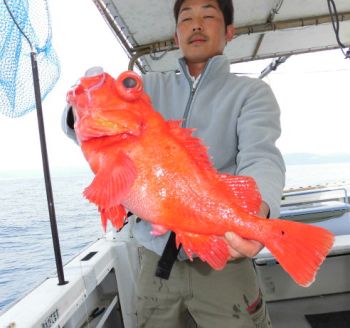 土佐安芸のハマちゃんの釣果