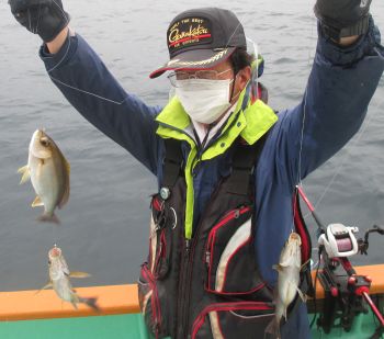 土佐安芸のハマちゃんの釣果