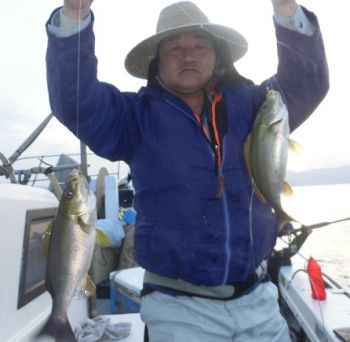 土佐安芸のハマちゃんの釣果