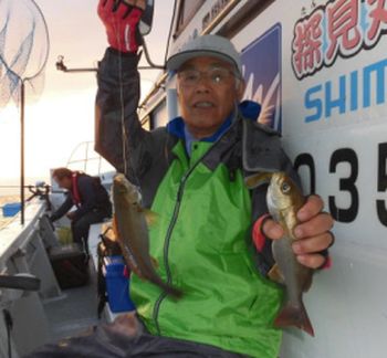 土佐安芸のハマちゃんの釣果