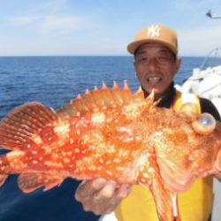 土佐安芸のハマちゃんの釣果