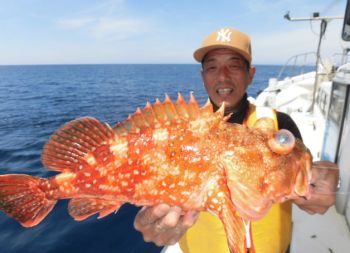 土佐安芸のハマちゃんの釣果
