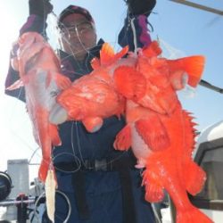 土佐安芸のハマちゃんの釣果