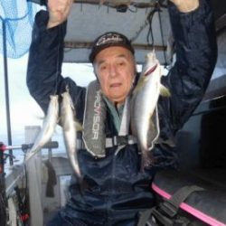 土佐安芸のハマちゃんの釣果