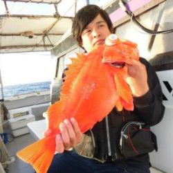 土佐安芸のハマちゃんの釣果