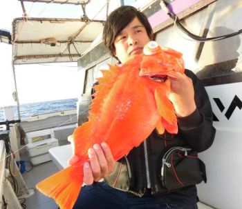 土佐安芸のハマちゃんの釣果