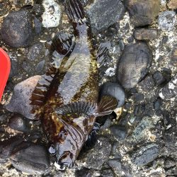 ワームで穴釣り