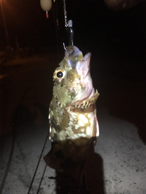 何とかメバリング成立(苦笑)