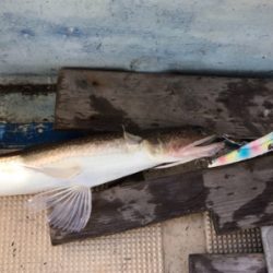 近場ショート便