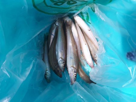 キス開幕してます！