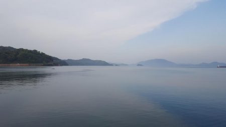 コウイカエギング