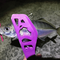 坊勢アジング(2019-3)