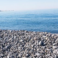 マッスル ハッスル