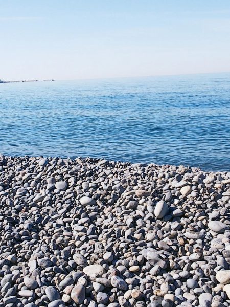 マッスル ハッスル