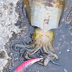 グィ────ン