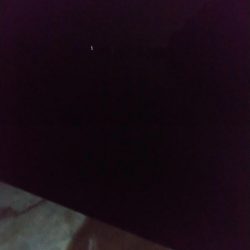 キミはいたんだね