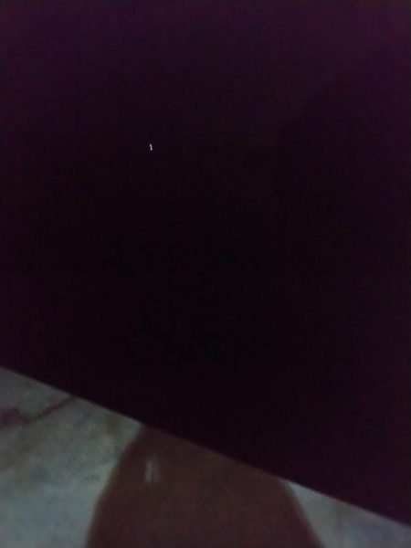 キミはいたんだね