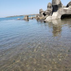 SUPフィッシング