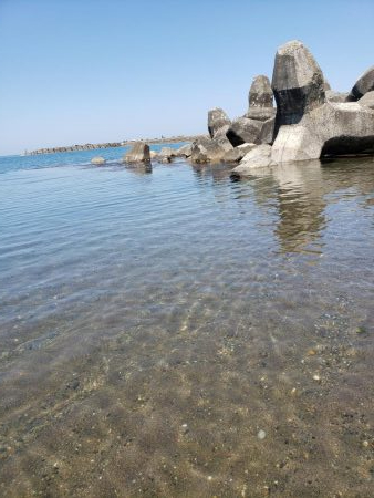 SUPフィッシング