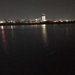 淀川のチニングに挑戦！