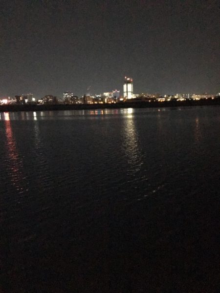 淀川のチニングに挑戦！