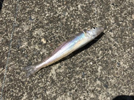 とほほなキス2nd