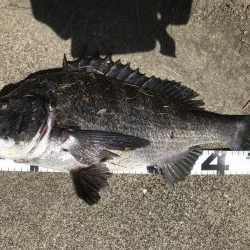 イチノ兄弟、釣果!